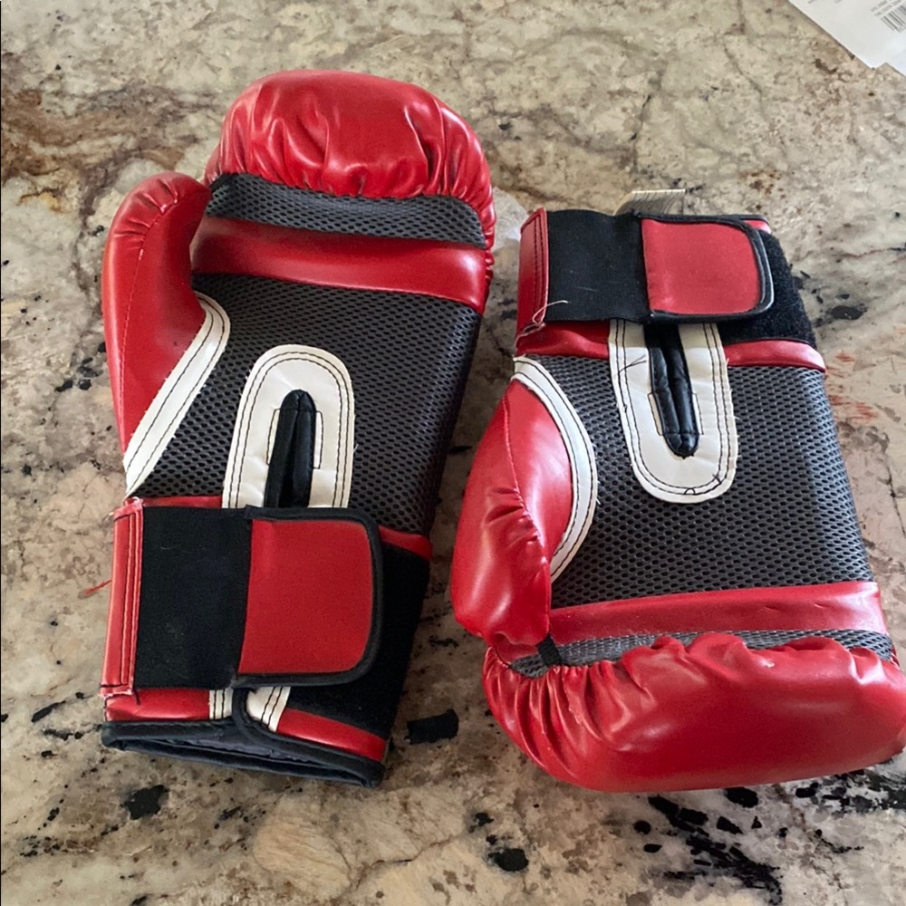 Everlast Red and Gray Boxing Gloves